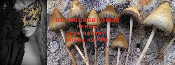 гашик Краснотурьинск