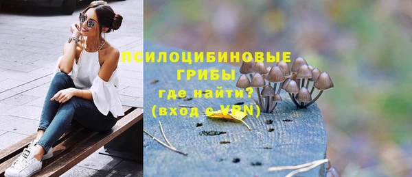 гашик Краснотурьинск