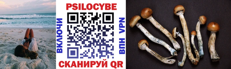 Купить где  Верхнеуральск  Псилоцибиновые грибы прущие грибы 
